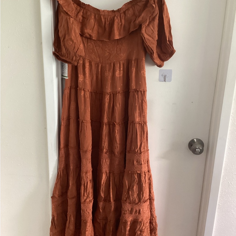 Express Rust Maxi Dress - Picture 4 of 5